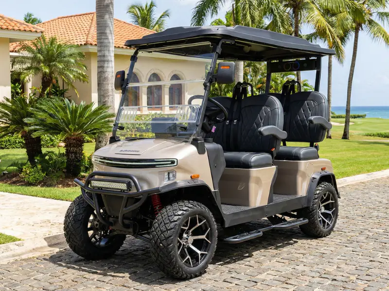 Carrito de golf eléctrico Denago Rover XL
