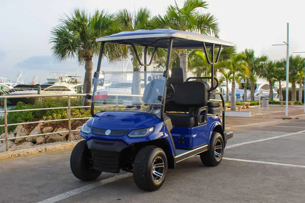 Cuánto cuesta un carrito de golf