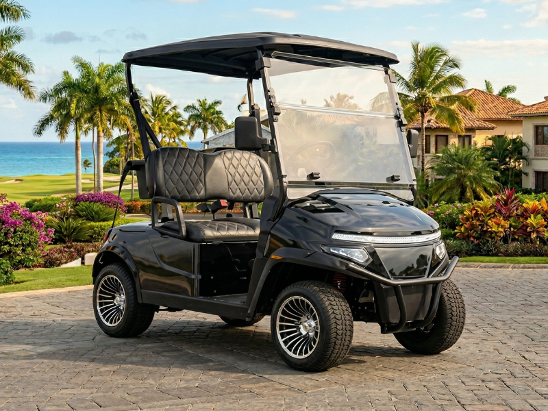 Denago Scout 2 two-seat black electric golf cart with alloy wheels on a resort driveway by the sea