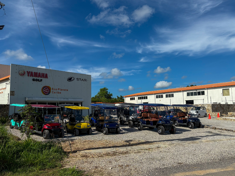 Golf Cart Maintenance by Eco Planeta