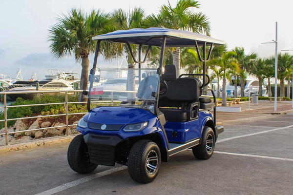 How much does a golf cart cost