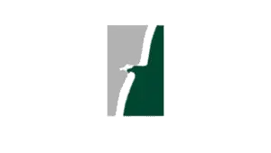 Logo de Eagle EV