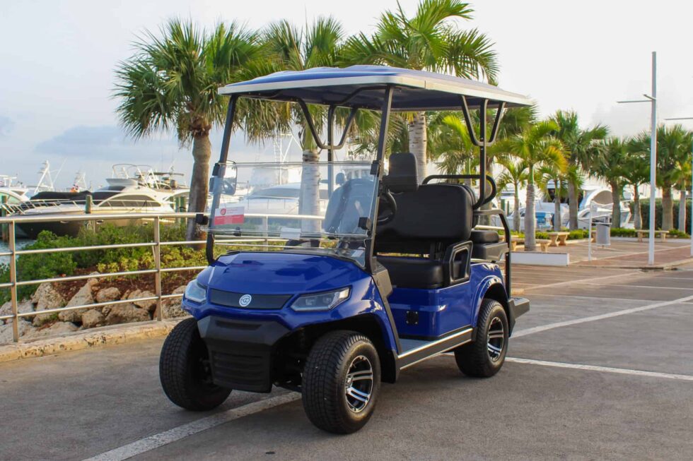 How much does a golf cart cost in 2024? [12.000 golf carts studied