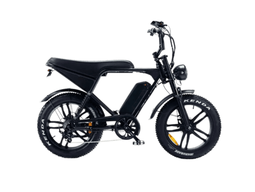 Ebike Tuqai Dos for one passenger with Fat Tires in the Dominican Republic