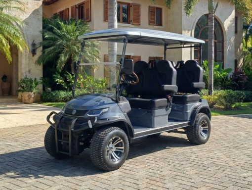 ECO Track 4 Grey Golf Cart